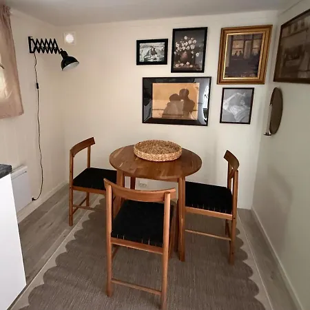 Cozy 1-room In Flisa